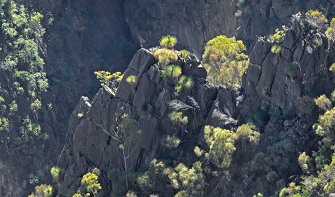 Bungonia National Park - Tourism Search 2