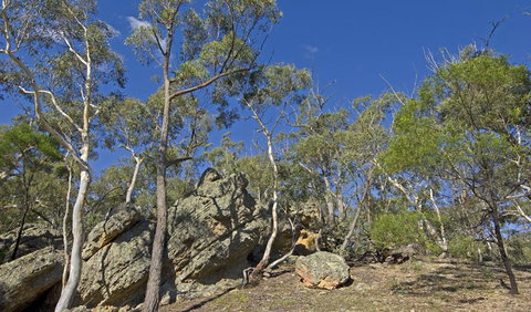 Bungonia National Park - Tourism Search 3