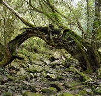 Mitchell River National Park - Tourism Search