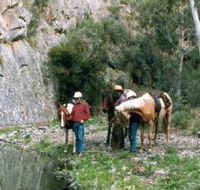 Yarramba Horse Riding - Tourism Search