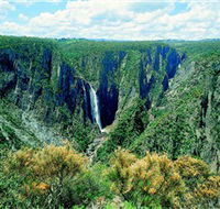Wollomombi Falls - Tourism Search