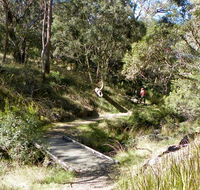 Wollomombi walking track - Tourism Search