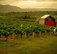 Around Hermitage Wine and Food Trail Hunter Valley - Tourism Search