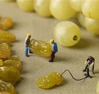 Hunter Valley Wine School - Tourism Search