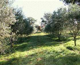 Langdale Farm - Tourism Search