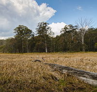 Mummel Gulf National Park - Tourism Search