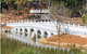 Chang Lai Yuan Chinese Gardens - thumb 1