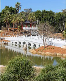 Chang Lai Yuan Chinese Gardens - Tourism Search 1