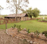 Camden Town Farm - Tourism Search