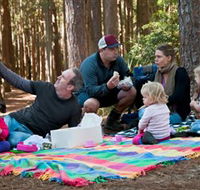 State Forests of the Watagan Mountains - Tourism Search