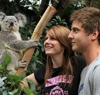 Featherdale Wildlife Park - Tourism Search