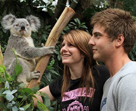 Featherdale Wildlife Park - Tourism Search 0