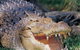 Featherdale Wildlife Park - thumb 1