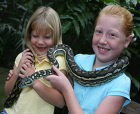 Featherdale Wildlife Park - Tourism Search 2