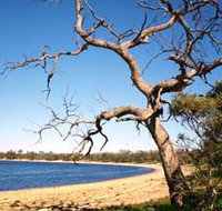 Lake Indoon - Tourism Search