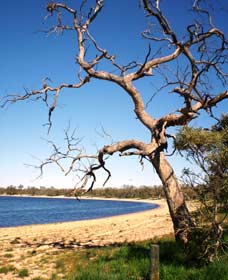 Lake Indoon - Tourism Search 0