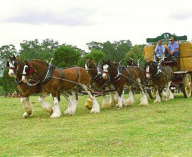 Belgenny Farm - Tourism Search 2
