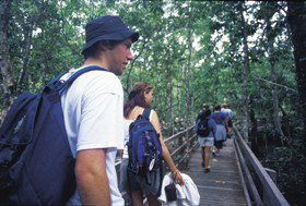 Bellthorpe QLD Tourism Search