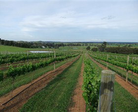 Razorback Ridge Wines - Tourism Search 1