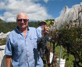 Razorback Ridge Wines - Tourism Search 8