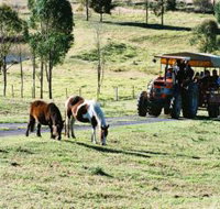 Calmsley Hill City Farm - Tourism Search