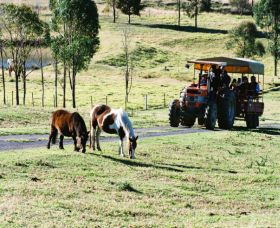 Calmsley Hill City Farm - Tourism Search 0