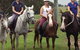 Sydney Horse Riding Centre - thumb 0