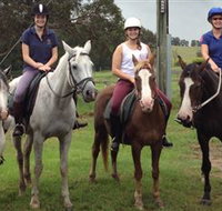 Sydney Horse Riding Centre - Tourism Search