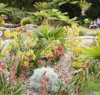 The Australian Botanic Garden Mount Annan - Tourism Search