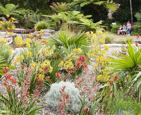 The Australian Botanic Garden Mount Annan - Tourism Search 0