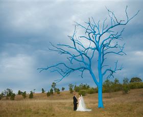 The Australian Botanic Garden Mount Annan - Tourism Search 5