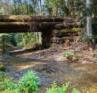 Myrtle Scrub scenic drive - Tourism Search