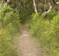 Three Views walking track - Tourism Search