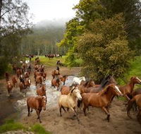 Glenworth Valley Horse Riding - Tourism Search