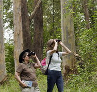 Chichester State Forest - Tourism Search