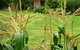 Experiment Farm Cottage - thumb 4