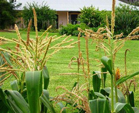 Experiment Farm Cottage - Tourism Search 4