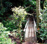 Richmond Range National Park - Tourism Search