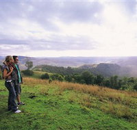 Mallanganee Lookout - Tourism Search