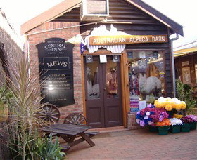 Australian Alpaca Barn - Morpeth - Tourism Search 0