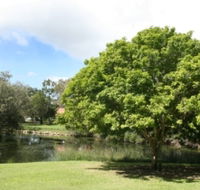Hervey Bay Botanic Gardens - Tourism Search