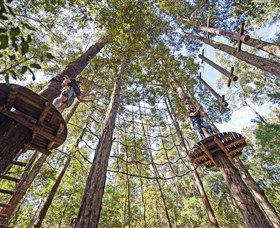 TreeTop Adventure Park Central Coast - Tourism Search 0