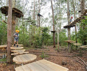 TreeTop Adventure Park Central Coast - Tourism Search 1