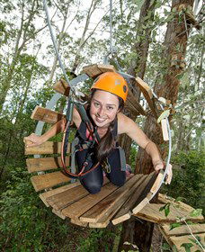 TreeTop Adventure Park Central Coast - Tourism Search 3