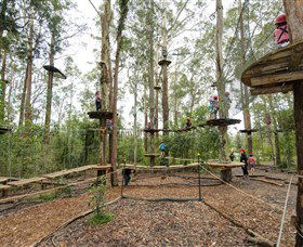 TreeTop Adventure Park Central Coast - Tourism Search 5