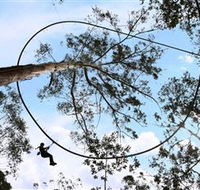 TreeTops Crazy Rider - Tourism Search