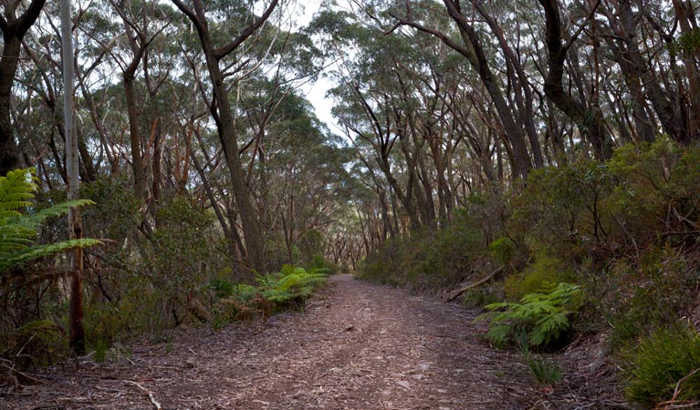 Yadboro NSW Tourism Search