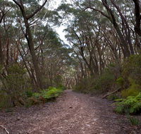 Budawang National Park - Tourism Search