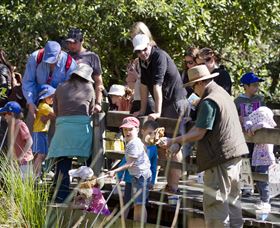St Ives Precinct - Tourism Search 1