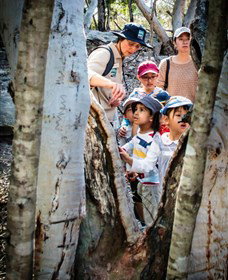 St Ives Precinct - Tourism Search 3